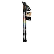 FIZAN SPEED JUNIOR - Nordic Walking Poles