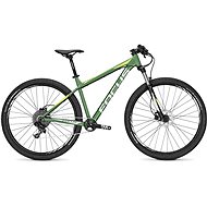 Focus Whistler SL 29 Mineralgreen M / 46 cm (2017) - Mountain Bike