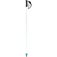 Head Worldcup SL 2024/25 - Ski Poles