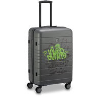 Roncato WARNER DC M green - Suitcase