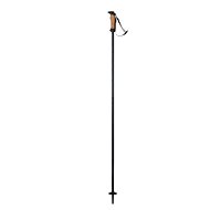Elan Speedrod - black - Ski Poles