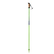 Elan Speedrod - green - Ski Poles