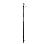 Elan Speedrod - blue - Ski Poles