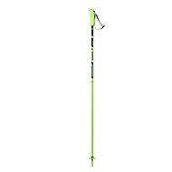 Elan Hotrod - green - Ski Poles