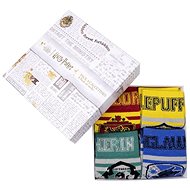 Harry Potter: Hogwarts Houses - Socks - Socks