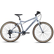 Academy Grade 6 Edition - FUNtasy Silver - Children's Bike
