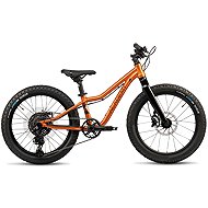 ACADEMY S-GRADE Trail 4 R Amber - Children's Bike