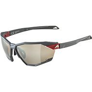 Alpina Twist SIX Q midnight-grey matt - Cycling Glasses