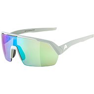 Alpina Turbo HR smoke-grey matt - Cycling Glasses