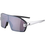 Alpina Bonfire MAG Q black-alu matt - Cycling Glasses