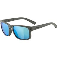 Alpina Kosmic moon-grey matt - Cycling Glasses