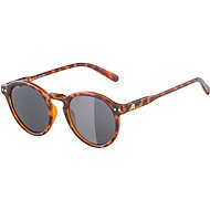 Alpina Sneek havana gloss - Cycling Glasses