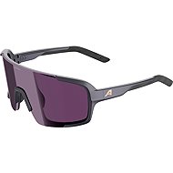 Alpina Lumin gun metal matt - Cycling Glasses
