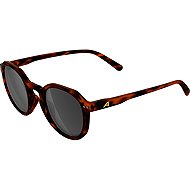 Alpina Sneek 2.0 havana matt - Cycling Glasses
