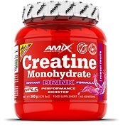 Amix Nutrition Creatine monohydrate Powder Drink 360g, Forest Fruits - Creatine