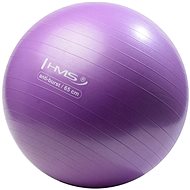 HMS YB02 65 cm purple - Gym Ball