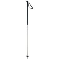 Elan Speedrod - grey 130 cm - Ski Poles
