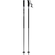 Atomic AMT SQS W - black - Ski Poles