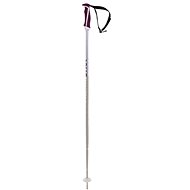 Völkl Phantastick W - silver 105 cm - Ski Poles