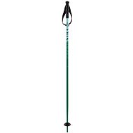 Völkl Phantastick Jr. - green - Ski Poles