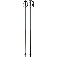 Atomic Redster Q Carbon SQS - Ski Poles