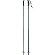 Atomic AMT SQS W - green - Ski Poles