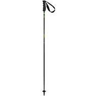 Elan Carbon Rod Petrol  - Ski Poles