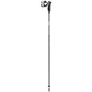 Leki Carbon 12 3D  - Ski Poles