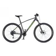 AUTHOR Pegas 29  - 19", šedá-matná/zelená - Mountain Bike