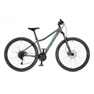 AUTHOR Solution 29 ASL - silver/matt/green - Mountain Bike