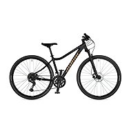 AUTHOR Codex ASL - 15" grey/gold/black - Cross Bike