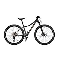 AUTHOR Context ASL 2025 - 16" grey/matte/gold - Mountain Bike