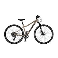AUTHOR Codex ASL - 15" titanium-matte/black - Cross Bike