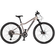 AUTHOR Codex ASL - 19" titanium-matte/black - Cross Bike
