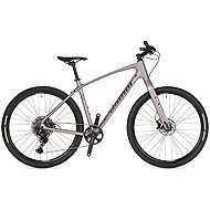 AUTHOR Avion - 22" titanium-matt - Cross Bike