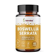 Blendea Boswellia Serrata 60 capsules - Dietary Supplement