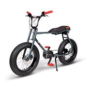 E-BIKE LIL'BUDDY Anthracite 300 Wh - Electric Bike