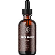 BrainMax Pure Mint Tincture 1:4, 100 ml - Dietary Supplement
