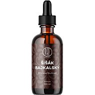 BrainMax Pure Elderberry tincture 1:3, 100 ml - Dietary Supplement