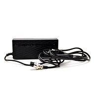 Battery charger for electric scooter BLUETOUCH BT350 - Charger