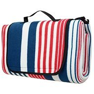 Calter Family Picnic, Striped Blue and Red - Picnic Blanket