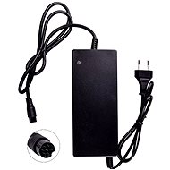 City Boss R3 / V4 (36V) - Charger