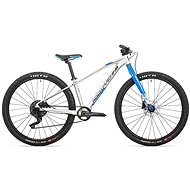 Rock Machine Thunder 27 HD LTD silver/blue - Children's Bike