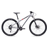 CTM ZEPHYR 29“ Glossy Aluminium Size L (20“) - Mountain Bike