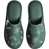 Dedoles Veselé pantofle Fyzika vs. Chemie zelená EU 41 / 290 mm - Slippers