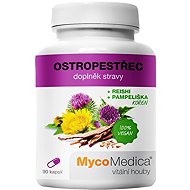 Mycomedica Milk Thistle 90 capsules - Milk Thistle