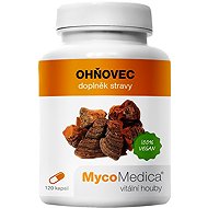 MycoMedica Fireweed 120 capsules - Dietary Supplement