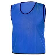 Distinctive jersey STRIPS BLUE RICHMORAL size L blue, L - Jersey