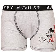 E plus M MFB-C-grey - Boxer Briefs