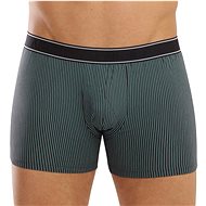 Andrie PS 5542 C - green stripes, sizing. L - Boxer Briefs